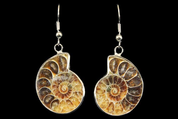 Fossil Ammonite Earrings - Million Years Old #142877